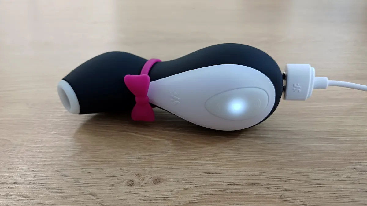 Satisfyer Penguin aufladen